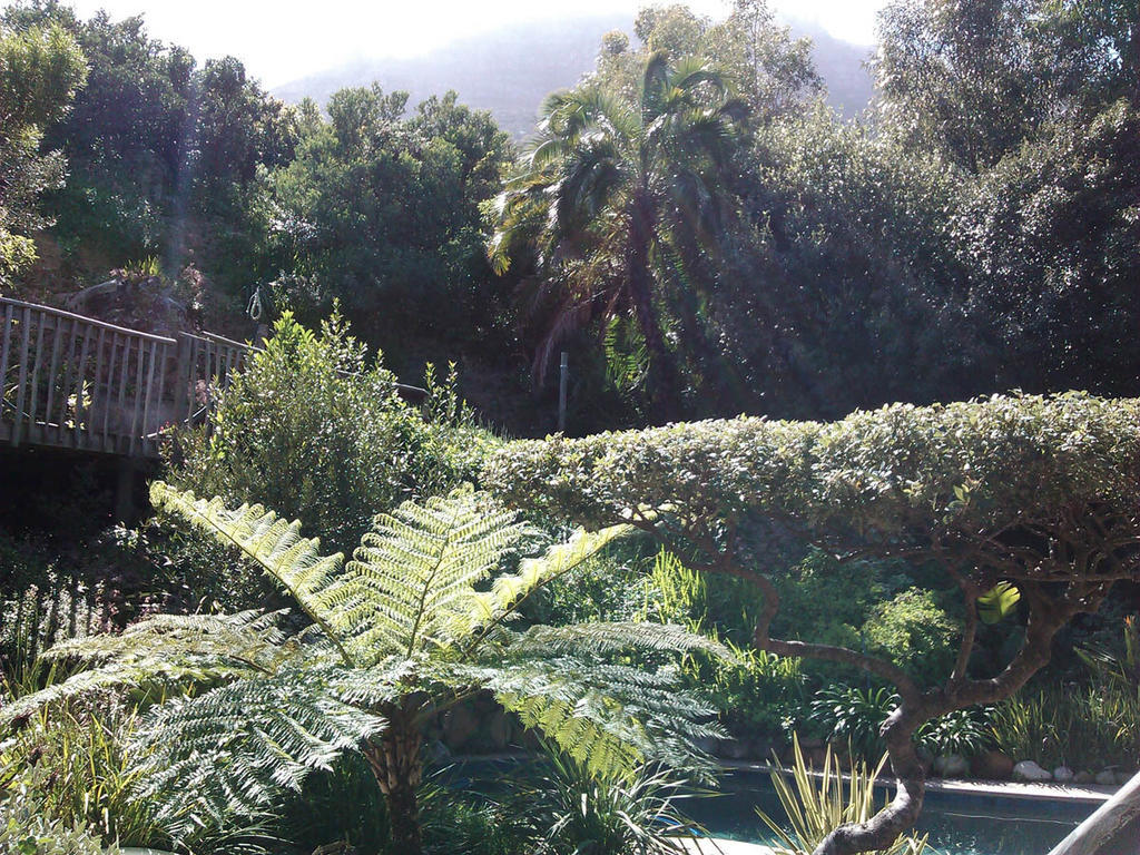 Hout Bay Hideaway Hotel Quarto foto